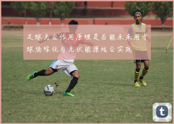 足球光合作用原理是否能未来用于球场绿化与光伏能源结合实践
